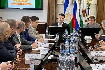 Ратмир Мавлиев и Геннадий Разумикин встретились с представителями IT-бизнеса